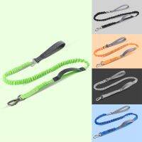 【CW】 Elastic Dog Leash Car Seatbelt Harness for Dogs Leashes Rope Accessories