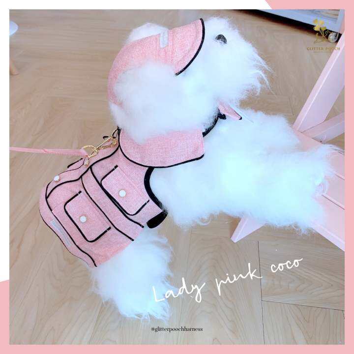 glitter-pooch-harness-ชุดรัดอก-สายจูง-เสื้อผ้า-สุนัข-หมา-แมว-สัตว์เลี้ยง-พร้อม-สายจูง-รุ่น-mini-coco