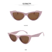 Triangle Cat Eye Sunglasses Women Small Glasses Female R