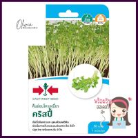 เมล็ดพันธุ์ต้นอ่อนโตวเหมี่ยว คริสปี้ ศรแดงDOWMIAO SPROUTS SEEDS SORNDAENG CRISPY **จัดส่งด่วนทั่วประเทศ**