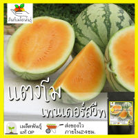 เมล็ดพันธุ์ แตงโม เทนเดอร์สวีท สีส้ม 10 เมล็ด Tender Sweet Orange Watermelon เมล็ดพันธุ์แท้ นำเข้าต่างประเทศ ปลูกง่าย