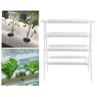 สถานที่ปลูกพืชสี่เหลี่ยม Hydroponic Grow Kit สำหรับการปลูกผักเรือนกระจก การปลูกสวนผัก