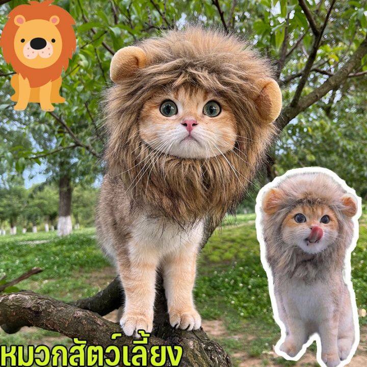 bhq-pet-cod-หมวกสัตว์เลี้ยง-วิกผมแมวน่ารัก-รูปสิงโตน่ารัก-หมวกแมว-หมวกสุนัข-หมวกสัตว์เลี้ยงตลก-อุปกรณ์ปาร์ตี้แฟนซี