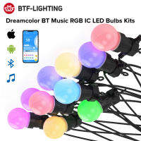 DC12V LED String Lights 5m 10 Bulbs WS2812B WS2811 IC Addressable Dreamcolor for Garden Porch Backyard Party Yar IP65 Waterproof