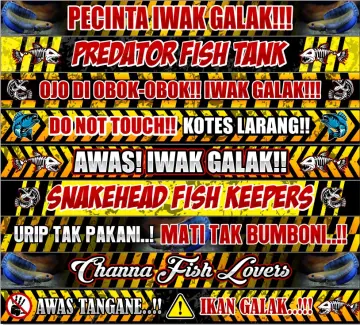 Jual Stiker Bang Fish Aquatic Terbaru - Mar 2024
