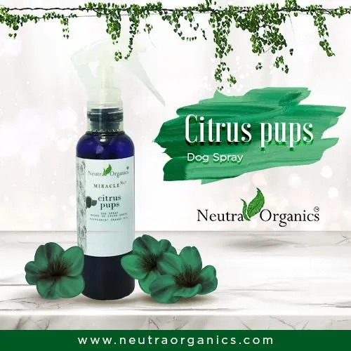 Neutra Organics Citrus Pups Dog Spray, Anti fleas spray, Anti ticks