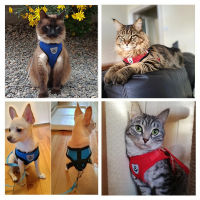 Cat Harness Adjustable Vest Walking Traction Rope Set for Dog Collar Breathable Mesh Harness for Small Medium Cat Dog Lead