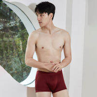 Gifts Spot MenS High -End 100%Mulberry Silk Panties, Comfortable, Breathable Skin, Lumbar Large Size, No Trace,