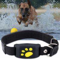 Tracker Collar Anti-Lost Devices Real Time Tracking Locator Collars Waterproof Free APP Provided Dogs Cats GPS Tracking