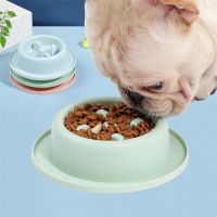 Pet Dog Feeding Food Bowls Puppy Slow Down Eating Feeder Dish Bowl For Small Dogs Prevent Obesity Pet Dogs Supplies Accessories