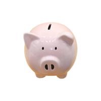 Piggy Bank For Kids Kids Cartoon Animal Coin Bank Piggy Money Bank For Girls Boys Pig Saving Bank Box For Keepsake And Birthday