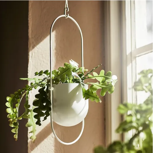 hanging-planter-in-outdoor-12-cm