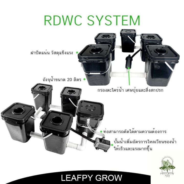 ready-stock-ส่งฟรี-ชุดปลูกไฮโดรโปรนิกส์-4-ต้น-ระบบ-rdwc-ต้นโตเร็ว-ผลผลิตเพิ่มขึ้น-hydroponic-rdwc-grow-setมีบริการเก็บเงินปลายทาง