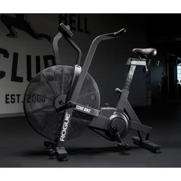 Rogue fitness echo bike for online sale