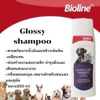 แชมพูสูตรเคลือบขนเงา Glossy shampoo-B2424