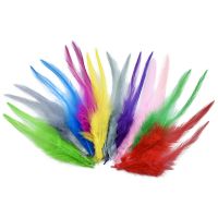 20Pcs Colored Pheasant Feathers for Needlework Jewelry Handicrafts Plumes Catcher Fly Tying Materials Accessories