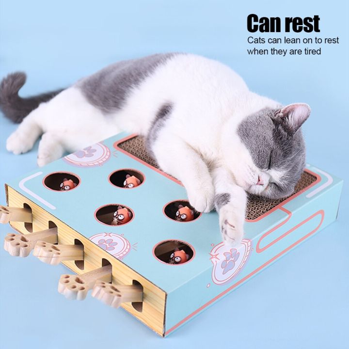 3-in-1ลูกแมวแท่งแมวน่ารักโดนโกเฟอร์เขาวงกตกล่องเกมโต้ตอบการศึกษาด้วยการไล่ล่าหนูของเล่นแมวไล่ล่า