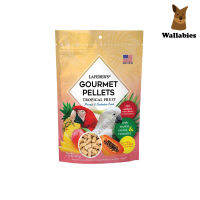 Lafeber Macaw Tropical Fruit Gourmet Pellets (567g.) อาหารนกมาคอว์ผสมผลไม้เขตร้อนพรีเมี่ยมออร์แกนิคโดยสัตวแพทย์