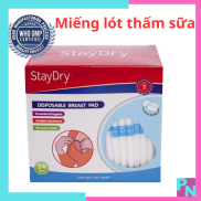 Lót sữa miếng lót thấm sữa cho mẹ Staydry 1 hộp 24 miếng Mcgoldson