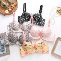 （A So Cute） LadiesPrintSteel แหวน SeamlessSexy LingerieGathering SmallAdjustable ความหนา Breathable Bra