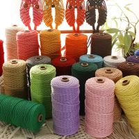 【YD】 100Meter/Roll Cotton Rope Macrame Cord Colorful Twisted Braided Crafts Textile 2mm