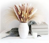 67 PCS Dried Pampas Grass Contains Bunny Tails Dried FlowersReed Grass Bouquet for Wedding Boho Flowers Home Table Decor