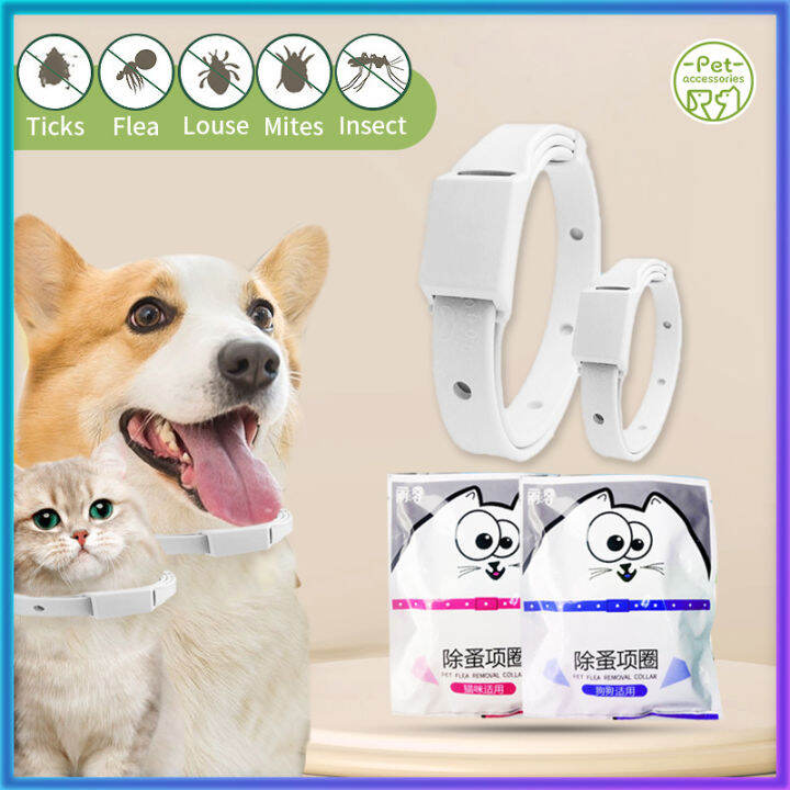 Pets flea and tick collar dog cat collar anti tick collar adjustable