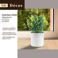 DECOS ต้นไม้เทียม พร้อมกระถาง 22 ซม. MOSS รุ่น DS541 |EA|