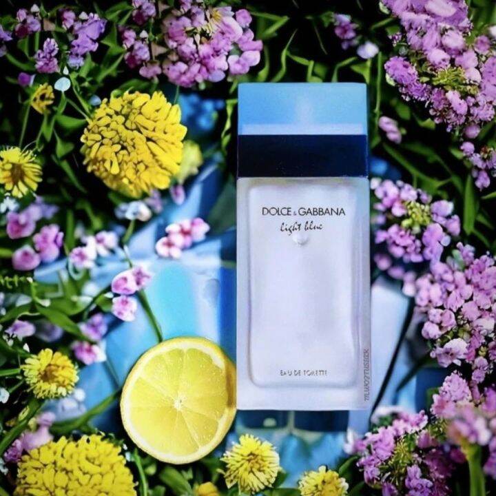 dolce and gabbana light blue perfume for women original women fragrance
