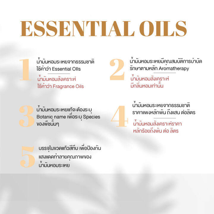 น้ำมันหอมระเหย-10-ml-30-ml-ยูคาลิปตัส-เปปเปอร์มินต์-ลาเวนเดอร์-ทีทรี-ตะไคร้-nashi-essential-oil-น้ำหอมเครื่องพ่นอโรม่า