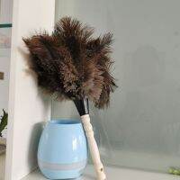 Ostrich Feather Feather Duster Sweeps Dust and Makes Furnishings Larger Thickened and Non-shedding Pure Manual Dust Removal Chicken Feather Duster