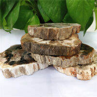 Wholesale Natural Raw Woodstone Slice Rough Wood Fossil Slab Coaster For Home Decorations