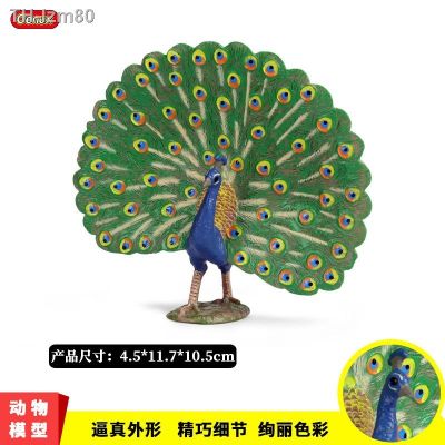 🎁 ของขวัญ Childrens toys simulation model of the peacock solid static wildlife birds plastic decorative furnishing articles