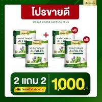 [ ขายดี 2แถม2 ] วีทกราส อัลฟาฟ่า พลัส Wheatgrass Alfalfa Plus by Yumiko 1 กระปุก 200 กรัม ปริมาณ 200,000mg. ถ่ายง่ายไม่ปวดบิด ช่วยระบบขับถ่ายดี