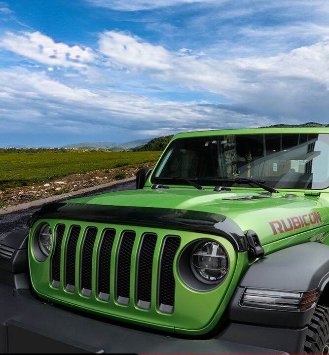 Styling Mouldings Car Front Stone Bug Deflector Hood Wind Air Deflector