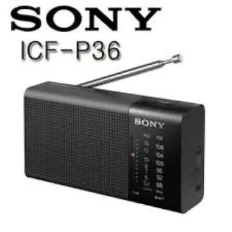 Sony AM/FM Dual-Alarm Clock Radio Black/Silver ICFC1PJ - Best Buy