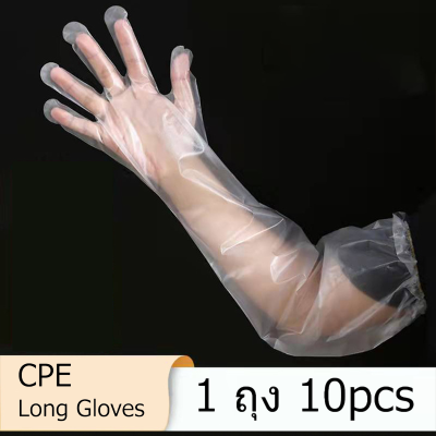 พร้อมจัดส่ง CPE Long Glove ถุงมือพลาสติกยาว 60cm ใช้แล้วทิ้ง Free size เหนียว ยืดหยุ่นสูง ถุงมือผสมเทียม ถุงมือผ่าตัด