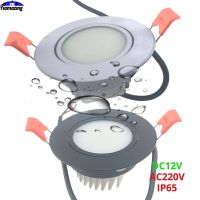 220V DC12V IP65 Indoor Waterproof Kitchen LED Downlight Dimmable 12V 5W 7W 9W 12W 15W Outdoor Eaves Ceiling Lamp Spot Light