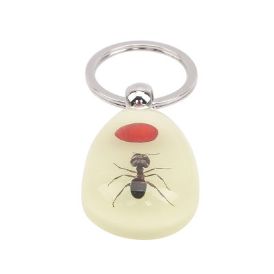 Luminous Real Insect Key Chain - New Luminous Product Real Ant And Scorpion Keychain Bag Car Key Ring