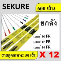 ยกลัง สายดูดเสมหะ ซีเคียว sekure ไม่มีคอลโทรล 10 12 14 เบอร์ 10fr 12fr 14fr ลัง สายซัคชั่น secure