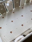 Topper trải nệm thảm trải nệm cũi 100% cotton, bảo vệ nệm cho bé