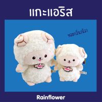 Rainflower ตุ๊กตาแกะแอริส นาโนกลิ่นวนิลา