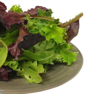 เมล็ดพันธุ์ ผักสลัด Salad Mix (สลัดมิกซ์) จำนวน 50 เมล็ด  อัตราการงอก 99%