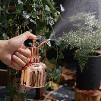 【CW】 Watering Can Sprayer Pot Spout Garden regadera plantas лейка для цветов