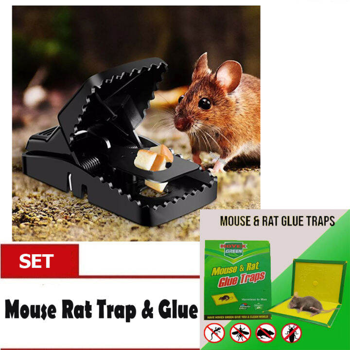 ACB Rat & Mouse Sticky Mice Rodent Glue Board Bait Trap Mouse Rat Fly