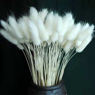 [AYIQ Flower Shop] ผ้าอนามัยแบบธรรมชาติ30ชิ้น/ล็อตกระต่ายกระต่ายปุยหางหญ้า Phragmites ช่อดอกไม้ตกแต่งการตกแต่งบ้าน Boho