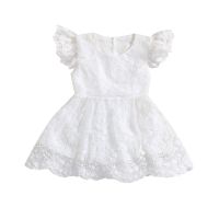 Kids Toddler Baby Girl Summer Lace Dress, Fly Sleeve Round Neck Solid Color A-line Dress 6M-5T  by Hs2023