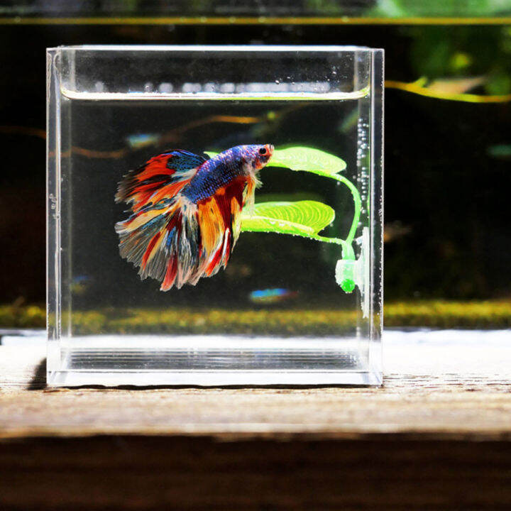Betta Fish Rest Aquarium Leaf Plants Decoration Spawning Ornamental