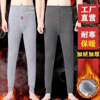 [COD] Mens Warm Pants Thickened Leggings Size Middle-aged and Elderly Underpants Loose Cotton Wool