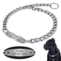 【CW】 Personalized Pet Dog Chain Choke Collar Pets Training Engraved ID Slip Collars Choker For Medium Large Dogs Pitbull Pug Bulldog